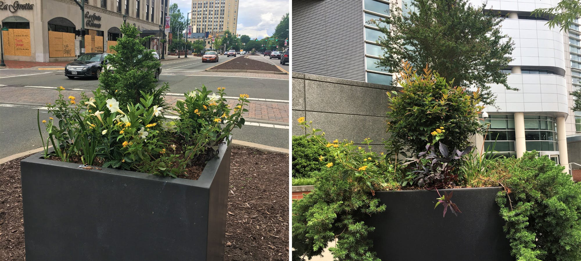 How Venture Richmond Keeps Growing Downtown's Beautification Efforts