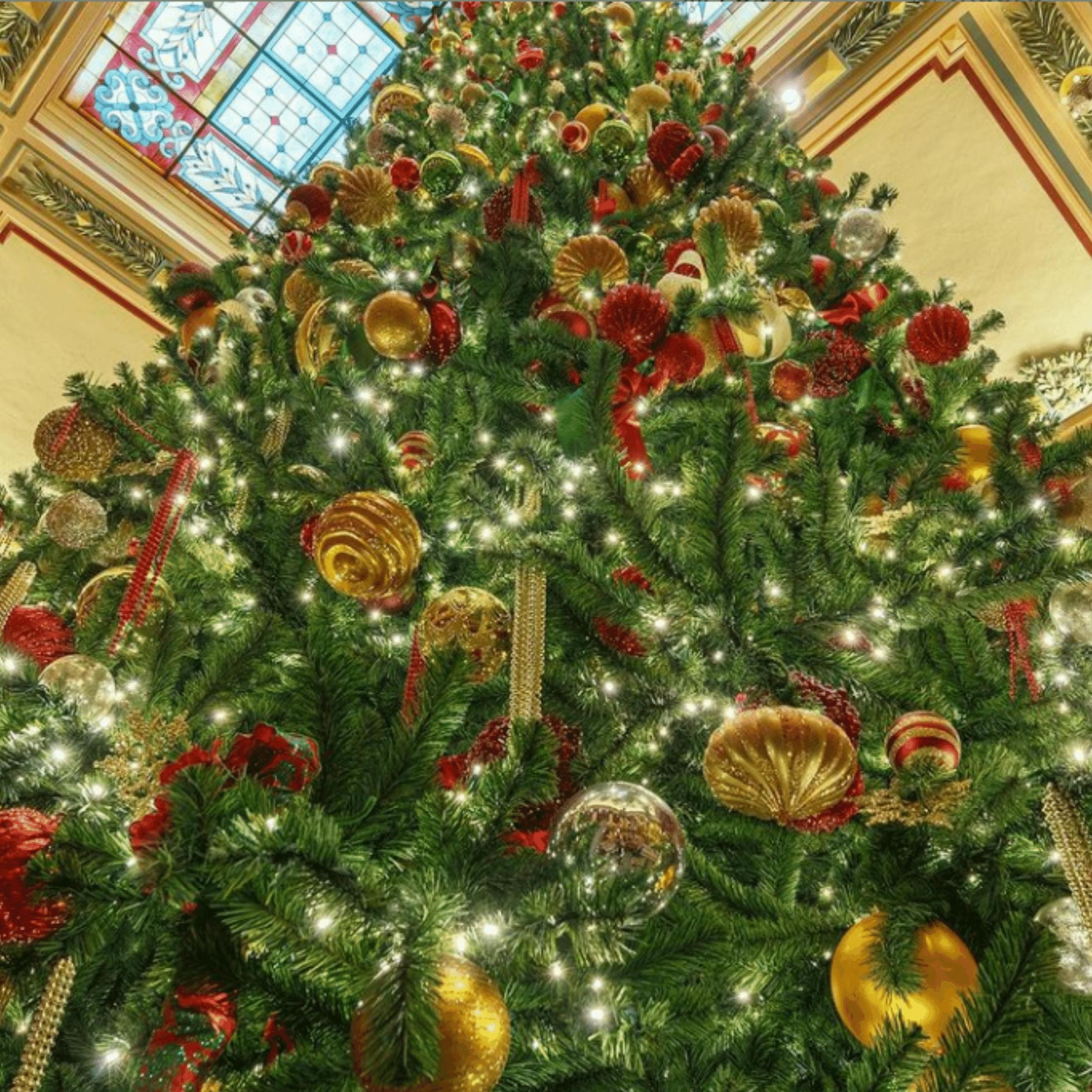 Holiday Instagram Spots to Visit in Downtown Richmond