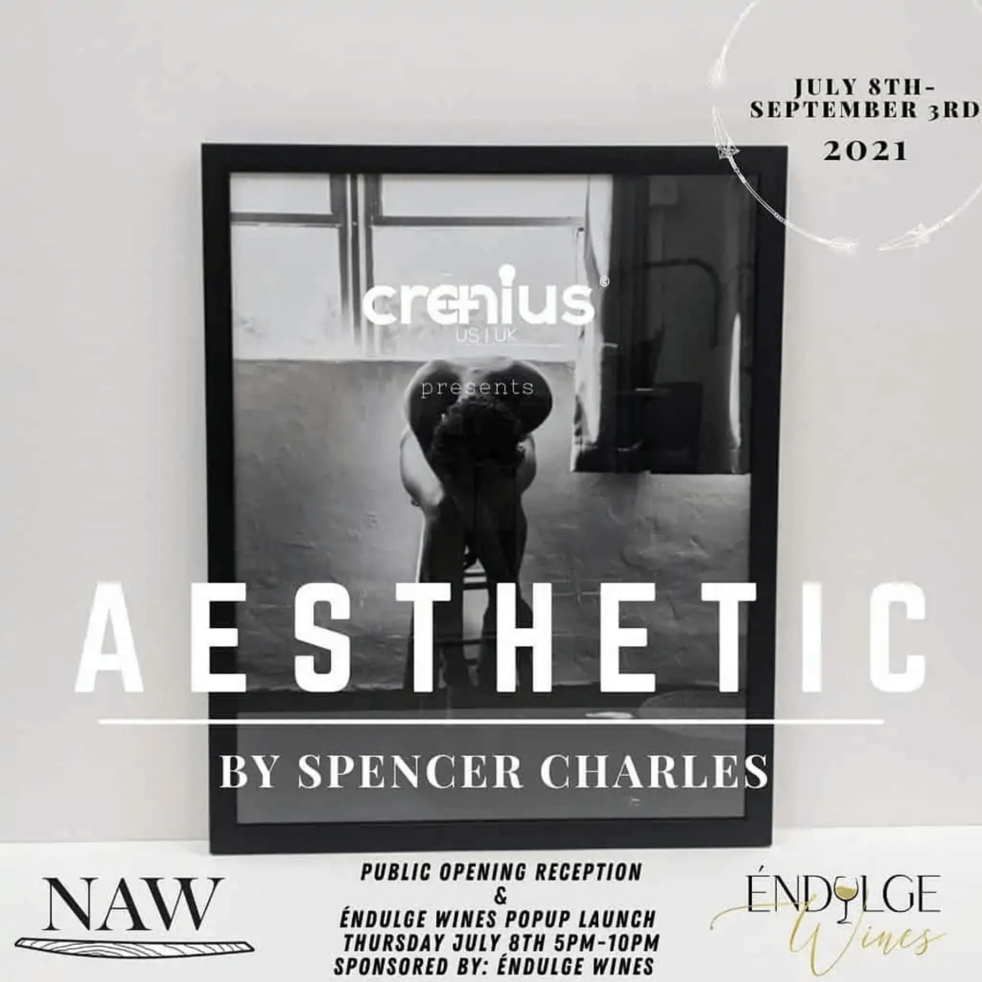 "Aesthetic" Exhibit at Well Art Gallery
