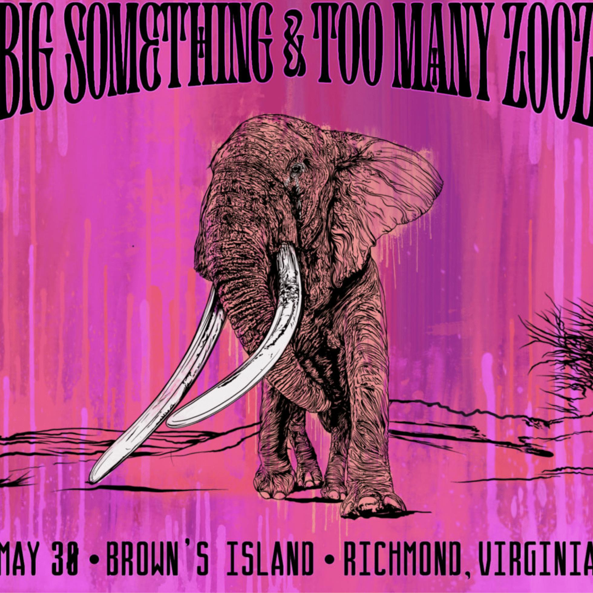 Big Something & Too Many Zooz at Brown’s Island